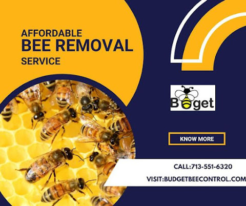 Buzzing Trouble: The Importance of Professional Bee Removal Services