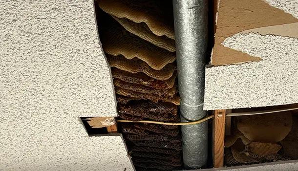 unnamed (67) unnamed (67)